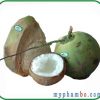 Tinh dầu dừa tinh khiết virgin coconut oil