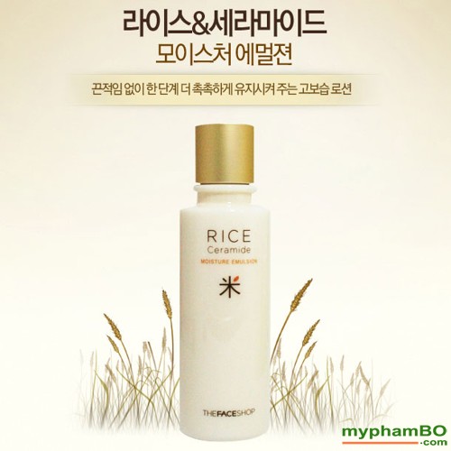 Sua duong gao The Face Shop - Rice Ceramide moisture emulsion (5)