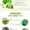 Nuoc hoa hong tra xanh Green Tea Balancing Skin Innisfree (2)