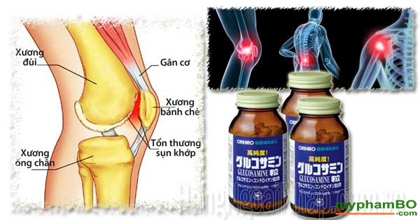 Vien uong Glucosamine Orihiro – Thuoc bo xuong tang cuong sun khop Nhat Ban (2)
